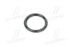Кільце ущільнювальне форсунки Case T8040/Mag.310/335 (6901325) 3х20,9 мм. (CNH) CASE IH 4890926 (фото 1)