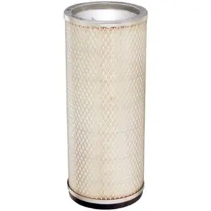 Air filter, by-pass. Фильтр воздушный, запасный CASE IH A171256