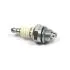 Spark plug. Свеча зажигания CHAMPION CJ6Y (фото 1)