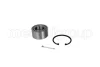 HYUNDAI підшипник задньої маточини Tucson 2.0 CRDi 04-, Kia Sportage CIFAM 6197821 (фото 1)