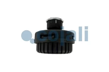 Глушник пневматичної системи (пресований) MERCEDES SOLARIS MERCEDES ECONIC 01.98- COJALI 2203109