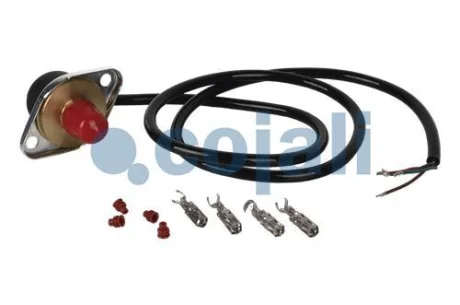 Датчик тиску палива SCANIA 4, G I, P I, R I, T DC09.108-OSC11.03 05.95-05.19 COJALI 2260281