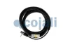 Датчик ABS задн Лів (прямий, 2065мм, 2pin) MAN TGM I COJALI 2261492 (фото 1)