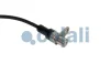 Датчик ABS задн Лів (прямий, 2065мм, 2pin) MAN TGM I COJALI 2261492 (фото 3)