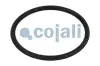 Ремонтний комплект клапана пневматичної системи COJALI 6012160 (фото 3)