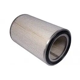 Air filter, primary. Фильтр воздушный, основной COMPAIR 982625006