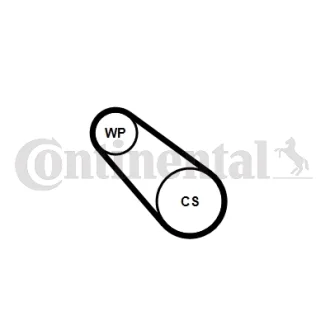 Комплект ремня грм + помпа CONTITECH 3PK576ELASTWP1