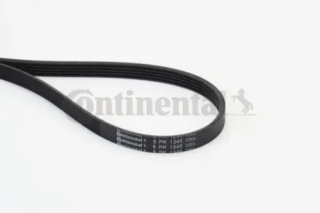 Ремінь полікліновий CONTITECH 5PK1245