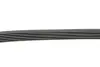 Ремень поликлиновой CONTITECH 6PK860ELAST (фото 3)