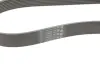 Ремень поликлиновой CONTITECH 8PK954 EXTRA (фото 3)