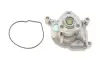 Насос охолоджувальної рідини (Вир-во Contitech) CONTITECH WPS3249 (фото 1)
