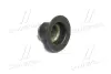 Сальник клапана IN-EX OPEL Z22SE 2.2 16V D1 6mm D2 10mm D3 25mm висота 16mm (вир-во Corteco) CORTECO 49472876 (фото 3)
