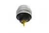 Подушка двигуна AUDI A4 "R "01-08 CORTECO 80005233 (фото 2)