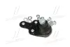 Опора шаровая нижняя L Ford C-Max 10- Focus 10- Transit Connect 14-22 OLD CBF-49L (пр-во C… CTR CB0544L (фото 3)