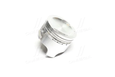Поршень (0,25) M100 DAEWOO/CHEVROLET/DOOSAN 12111A78B01025