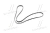 Ремінь приводний поліклінової DAEWOO/CHEVROLET MALIBU, CAMARO, COLORADO (вир-во GM) DAEWOO/CHEVROLET/DOOSAN 12664598 (фото 2)