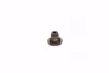 Сальник клапана двигуна Aveo, T300, Cruze, Tracker, Astra, Mokka, Zafira, Insignia DAEWOO/CHEVROLET/DOOSAN 55574221 (фото 3)