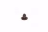 Сальник клапана двигуна Aveo, T300, Cruze, Tracker, Astra, Mokka, Zafira, Insignia DAEWOO/CHEVROLET/DOOSAN 55574221 (фото 4)