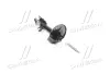 Амортизатор (вир-во GM) DAEWOO/CHEVROLET/DOOSAN 96300279 (фото 1)