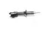 Shock absorber. Амортизатор, ходовая часть DAEWOO/CHEVROLET/DOOSAN 96316745 (фото 1)