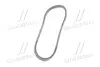 Ремінь поліклиновий DAEWOO/CHEVROLET/DOOSAN 96486814 (фото 4)