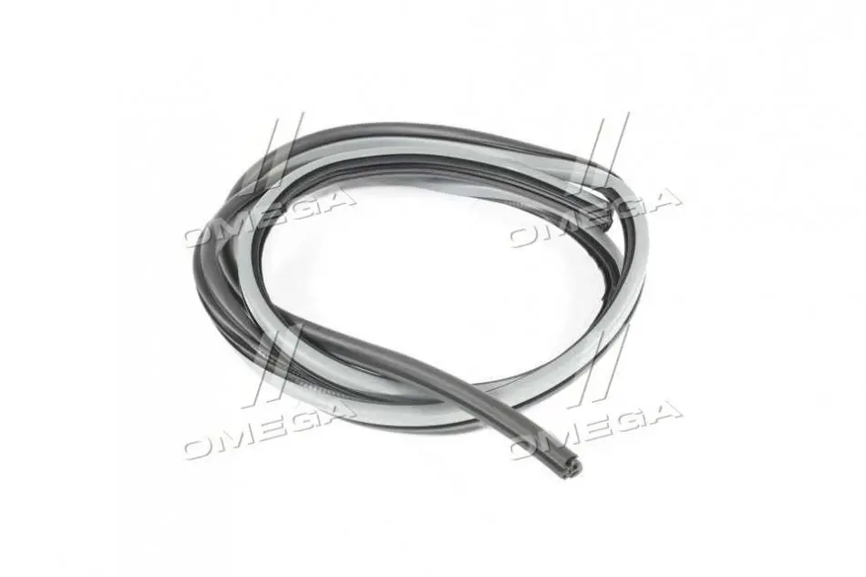 Ущільнювач дверей (вир-во GM) DAEWOO/CHEVROLET/DOOSAN 96615176 (фото 1)