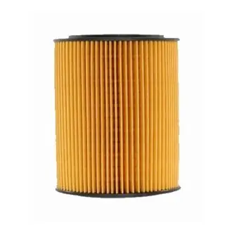 Oil filter, cartridge. Фильтр масляный, вставка DAF 1501041