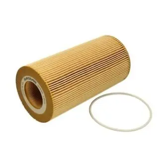 Oil filter, cartridge. Фильтр масляный, вставка DAF 1643070