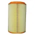 Air filter, primary. Фильтр воздушный, основной DAF 1679397 (фото 1)