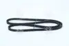 Ремінь клиновий (вир-во) DAYCO 10A1250C (фото 3)