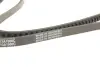 Ремінь клиновий AVX 13X1500 (вир-во) DAYCO 13A1500C (фото 4)