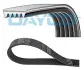 Ремень поликлиновой DAYCO 5PK890HD (фото 1)