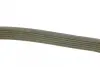 Ремінь полікліновий DAYCO 6PK1024EE (фото 2)