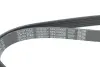 Ремінь полікліновий DAYCO 6PK1090EE (фото 4)