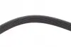 Ремінь полікліновий DAYCO 6PK1910 (фото 4)