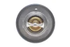 Термостат Fiat Ducato/Ford Transit 2.2 D/TDCI 06- (88°C) DAYCO DT1016V (фото 4)