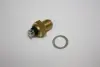 Датчик температури води VW Golf,Passat,Jetta DELLO 150020310 (фото 1)