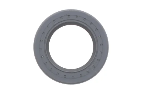 Сальник ТНВД MB E-class (W211)/C-class (W204) 02-08 (25x38x6.5) DELPHI 7190-234-12B1