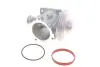 Клапан EGR BMW 5 (E60/E61)/X3 (E83)/X5 (E53/E70) 2.0D-3.0D N57 04-10 DELPHI EG10433-12B1 (фото 1)
