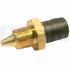 Coolant temperature sensor. Датчик температуры охлаждающей жидкости DELPHI TS1024712B1 (фото 1)