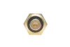 Датчик температури охолоджуючої рідини Chevrolet Lacetti/Daewoo Lanos 1.3-2.4 97- DELPHI TS10469 (фото 4)