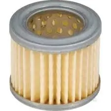 Fuel filter, cartridge. Фильтр топливный, вставка DEUTZ-FAHR 000946830
