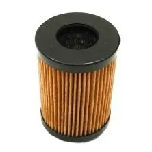 Hydraulic filter, cartridge. Фильтр гидравлический, вставка DIGOEMA DGMH33P10