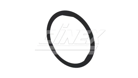 Прокладка випускної системи (x1,5мм) DAF XF EURO 6 DINEX 2AL005