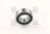 Подшипник (6203-2RS) электродвиг. привода вентилятора ВАЗ <ДК> DK 180203 (фото 1)