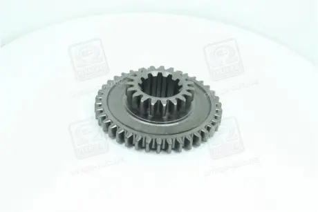 Шестерня 5-й пров. та задн. ходу МТЗ (Z=38-19) ДК DK 501701218