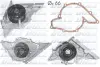 Водяной насос Dolz DOLZ A194 (фото 1)
