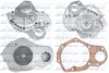 Водяной насос Dolz DOLZ R131 (фото 1)