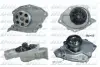 Насос системи охолодження DOLZ R234