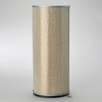 Air filter, by-pass. Фильтр воздушный, запасный DONALDSON P607224